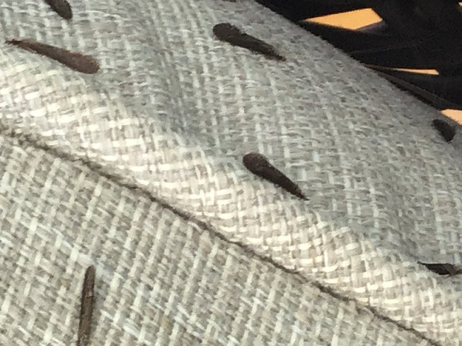 Caddisflies