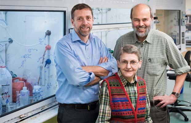 Waiting for new bed bug trap