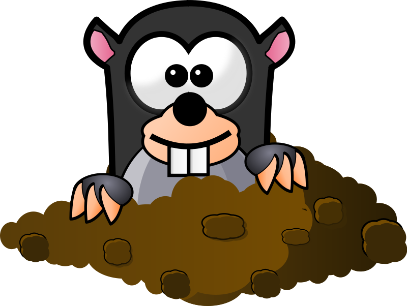 Get rid of moles in garden