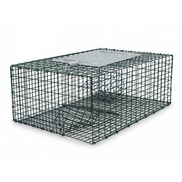 Sparrow Trap