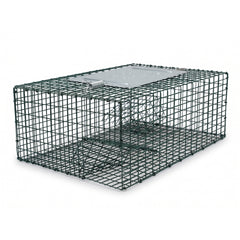 Sparrow Trap