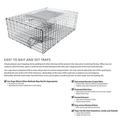 Sparrow Trap