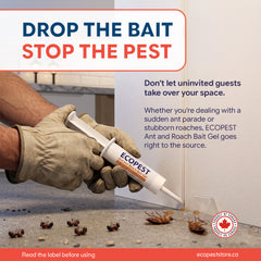 ECOPEST Ant and Roach Bait Gel