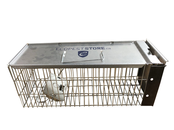 ECOPEST X-Small Professional Style One-Door Animal Trap