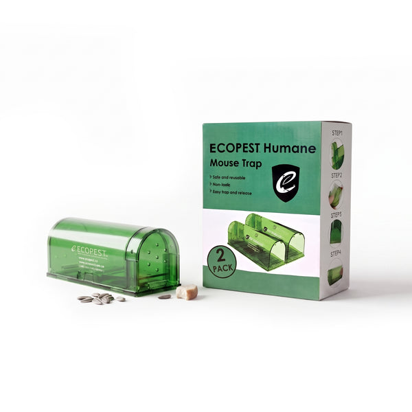 ECOPEST Humane Mouse Trap