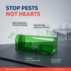 ECOPEST Humane Mouse Trap
