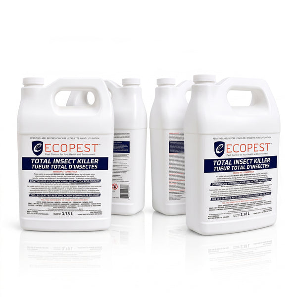 ECOPEST Total Insect Killer - Case of 4