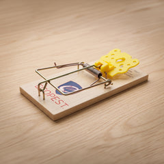 ECOPEST Mouse Snap Traps