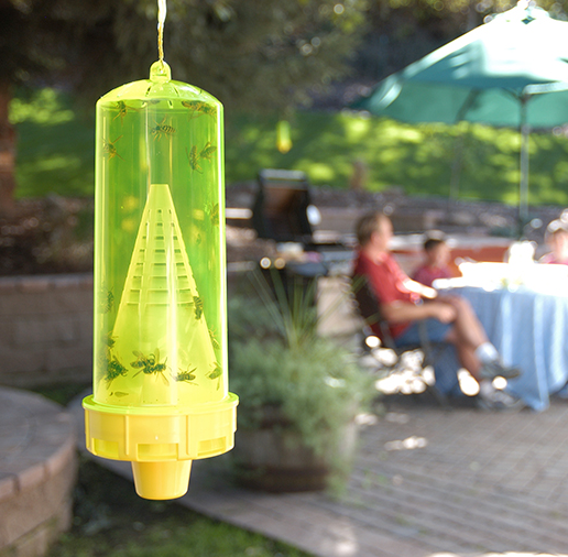 Reusable Yellow Jacket Fly Trap
