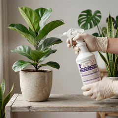 ECOPEST - HOME AND GARDEN TOTAL INSECT CONTROL KIT with FREE virtual consultation